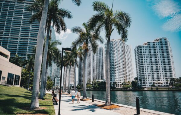 Starting Your Professional Life in Miami